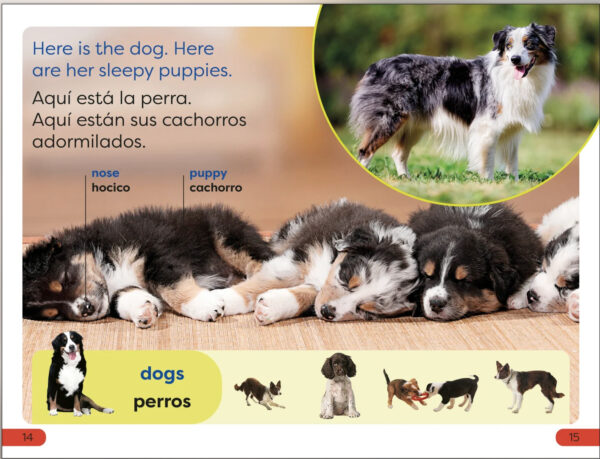 DK Super Readers: Pre Level Bilingual Farm Animals - Los animales de la granja - Image 3