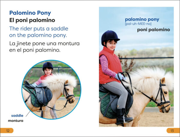 DK Super Readers: Level 1 Bilingual Ponies and Horses - Ponis y caballos - Image 2