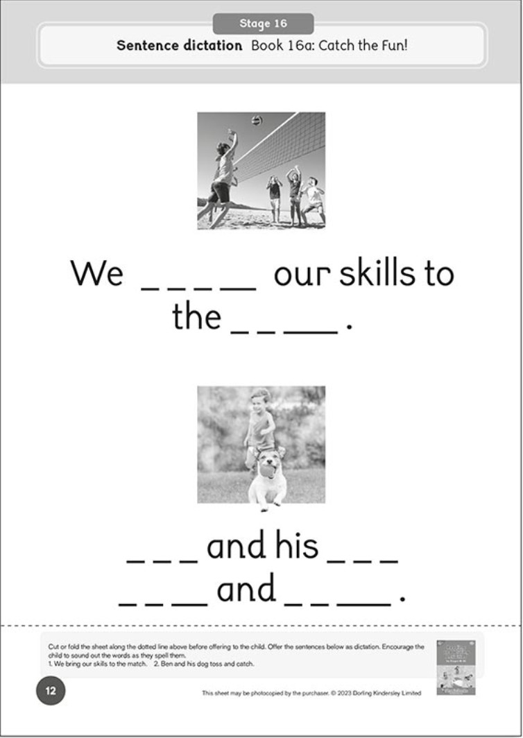 Phonic Books: Dandelion World Stages 16-20 Workbook - Image 3