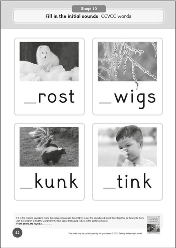 Phonic Books: Dandelion World Stages 8-15 Workbook - Image 6