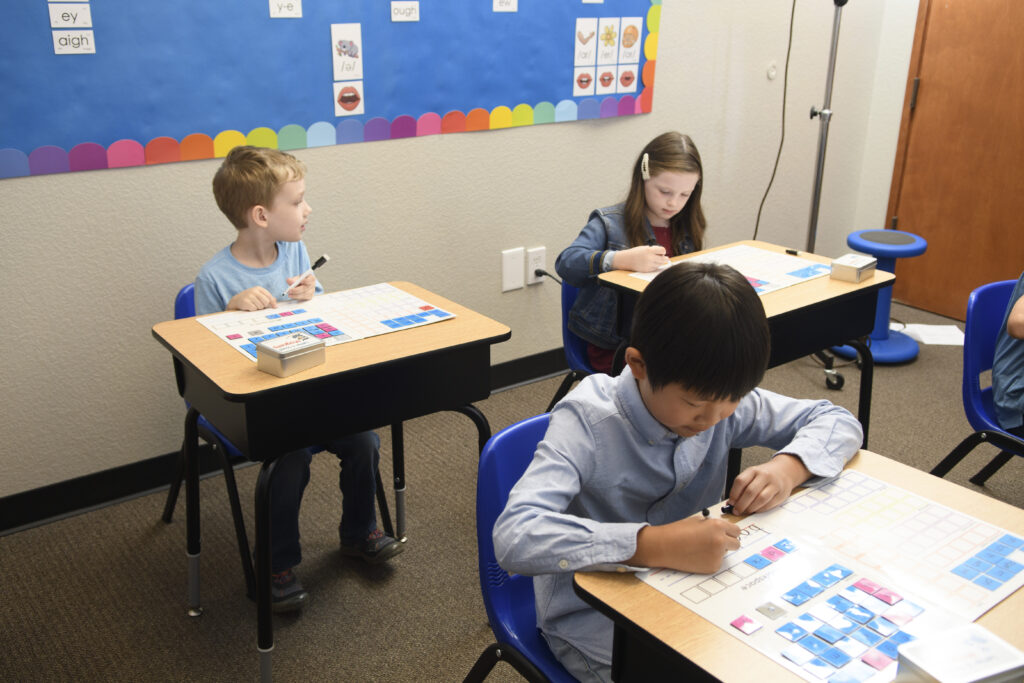 Comprehension and Differentiation: Meeting Every Student’s Needs