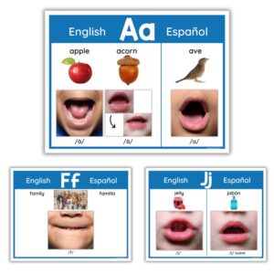English & Spanish Phoneme/Grapheme Display Cards