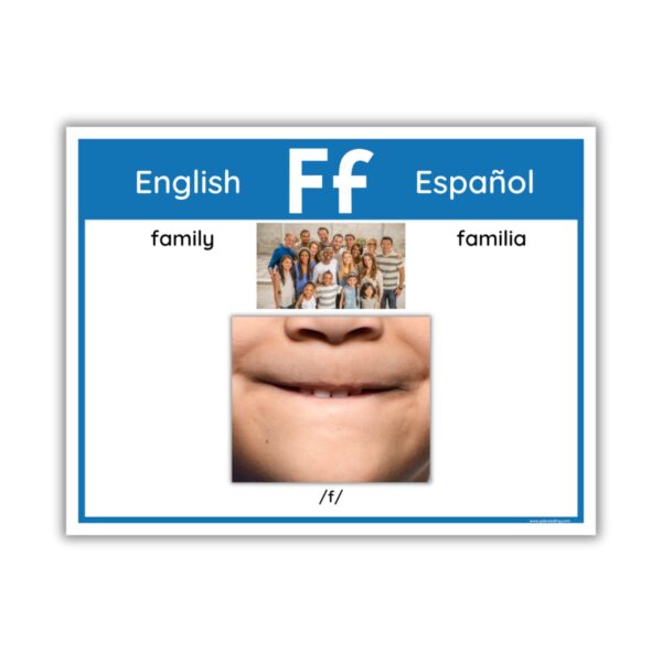 English & Spanish Phoneme/Grapheme Display Boards - Image 2