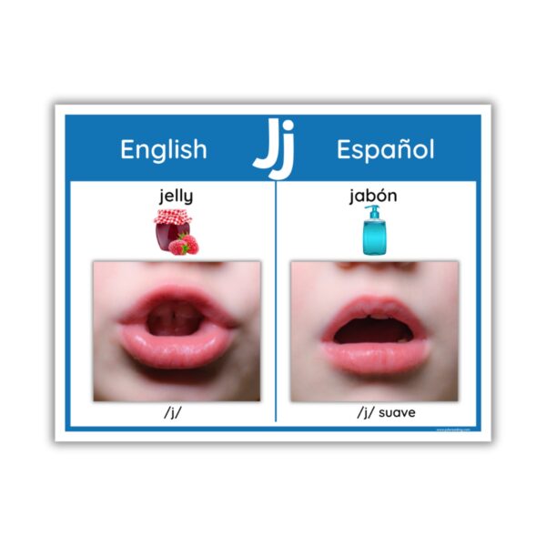English & Spanish Phoneme/Grapheme Display Boards - Image 3