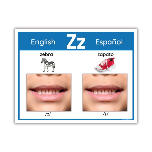 English & Spanish Phoneme/Grapheme Display Boards - Image 4